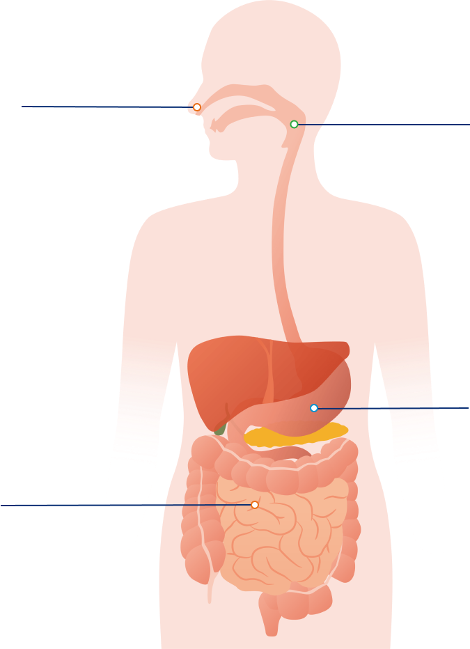 Feeding Tubes